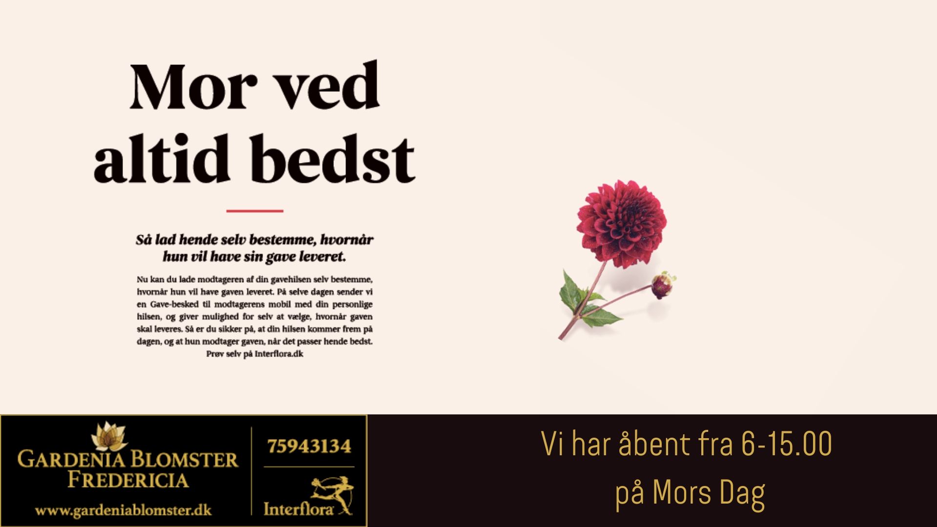 https://gardeniablomster.dk/