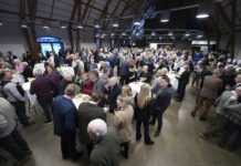 Nytårskur på Hindsgavl samlede Middelfart i sne og fællesskab