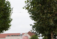 Fredericia klar med første grønne omlægningsplan