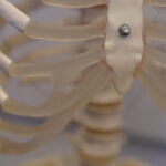 2021.10.29@11.38.29_3