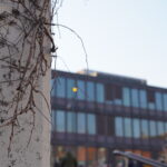 2022.03.21@17.22.40_5