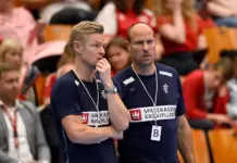 Assistentlandstræner stopper