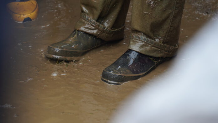 2024.06.08@16.00.13_1