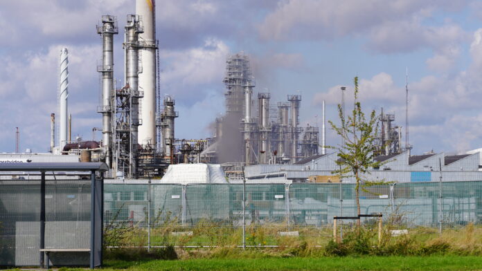 2024.08.25@09.52.44_1