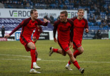 Humlebien fra Fredericia flyver stadig