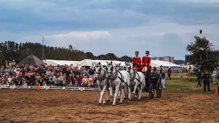 23.08.30 Gardehusarregimentet hest6