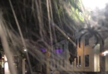 Fredericia bliver (u)hyggelig: Trick or Treat og Haunted House i bymidten