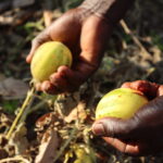 518dbafa-c667-47aa-b3f6-d3f7cf1b305c