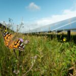 Solceller Sommerfugl