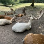 59B5C6E9-A242-4C28-84FD-C3031336493C