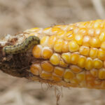 8defe210-8db9-410f-b6c6-435fd6b511f5