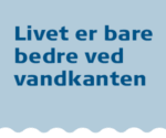 Bannerannoncer-hos-avisen.nu-300×250-1.gif