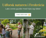 Webbanner Fredericia Avisen 300 x 250 px (1)
