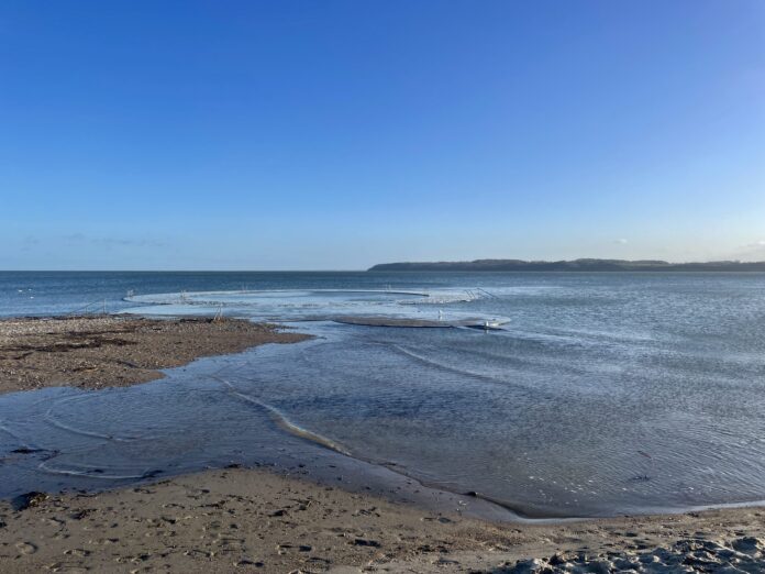 AVISEN 2023.12.22 Østerstrand stormen Pia00002