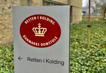 24-årig idømt fængselsstraf for at køre fodgænger ned og true med kniv