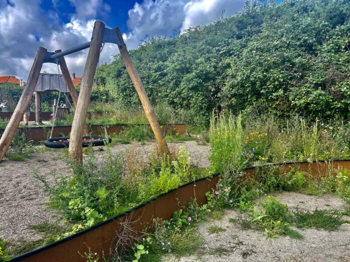 AVISEN 2024.08.02 Martinas Legeplads ukrudt tidsler00001