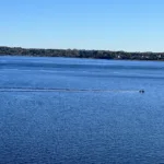 BB34E2CF-B60F-48A8-AAA4-893ED9E091F7