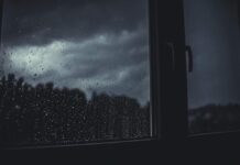 Op til 50 mm regn præger nytårsvejret