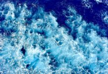 Markant stigning i olietrafik gennem danske farvande vækker bekymring