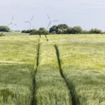 CO2-afgift kan give voldsomme jobtab i landbruget