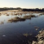 de243194-aac5-4516-a36b-093dd43197c4-w_576_h_2000