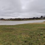 Det nye dige ved fladestrand bestod prøven (2)