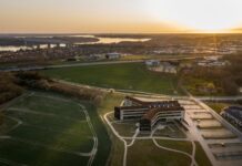 DLG Group taber millioner