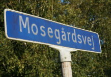 14 boliger ved skovkanten: Forvaltningen anbefaler afslag for anden gang