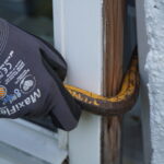 Krimi, Koben, Havevindue