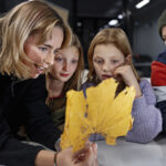 EDB90777-8F02-4A90-B53B-E5770C2EF78A