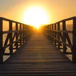 En ny demokratisk styreform ser dagens lys