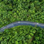 ff88b497-f960-434a-b9a9-1b653e418c85-w_576_h_2000