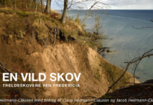 Forsiden på bogen - En vild skov - Treldeskovene ved Fredericia
