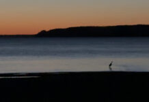Fredericia er blevet god til fællesskab. Men fællesskab er ikke det samme som retning