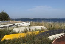 Fredericia vokser: Ny prognose forventer over 55.000 indbyggere i 2038