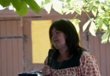 Kritik af lav bøde i sag om naturødelæggelse ved Vejle Fjord