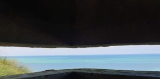 Sanseskarp Kommunikation