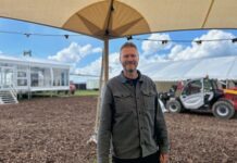 Under broen rejser et helt VIP-univers sig på få dage