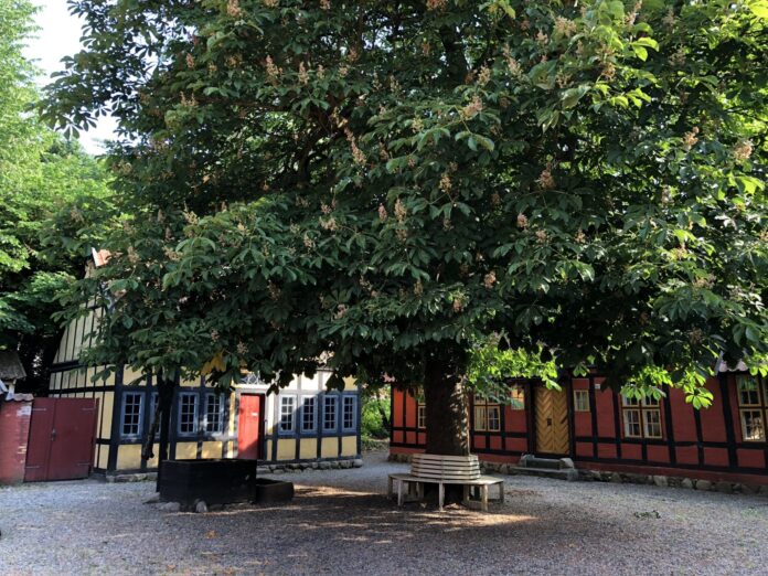 Fredericia Museum. Foto: Andreas Dyhrberg Andreassen, Fredericia AVISEN.