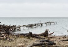 Stormflod vil ramme oftere