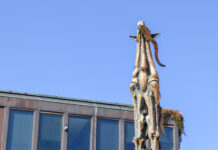 Politiker: De skal have det røde kort