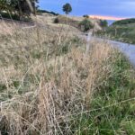 Natur vej trafik. Foto: AVISEN Hyby Strand Fredericia