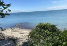 Store havkorridorer på vej: 9,8 millioner kroner skal genskabe havnatur ved Trelde Næs