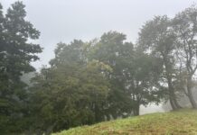 DMI varsler tæt tåge i Trekantområdet i nat og tidlig morgen