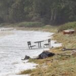 Kolde fødder hvis man skal spise madpakken i Bøgeskov