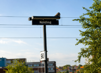 Kvinde død efter påkørsel af tog ved Kolding: Strækningen er åben igen