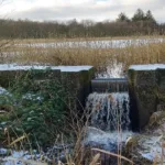 Kun handling skaber forandring