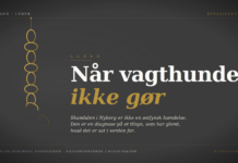 LEDER: Når vagthunden ikke gør