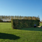 Ullerup kirketomt er i dag omkranset af en hæk. Ved indgangen står en stor mindesten over kirken. Foto: Museerne i Fredericia