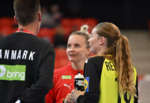 Danske profiler kommer ikke tilbage til EM